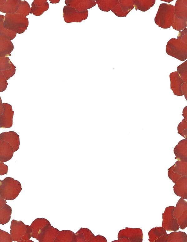 Red rose petals design template
